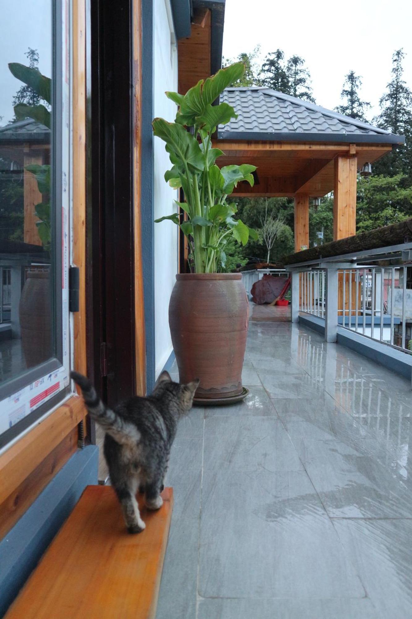 May Nui Homestay Sa Pa Exterior photo