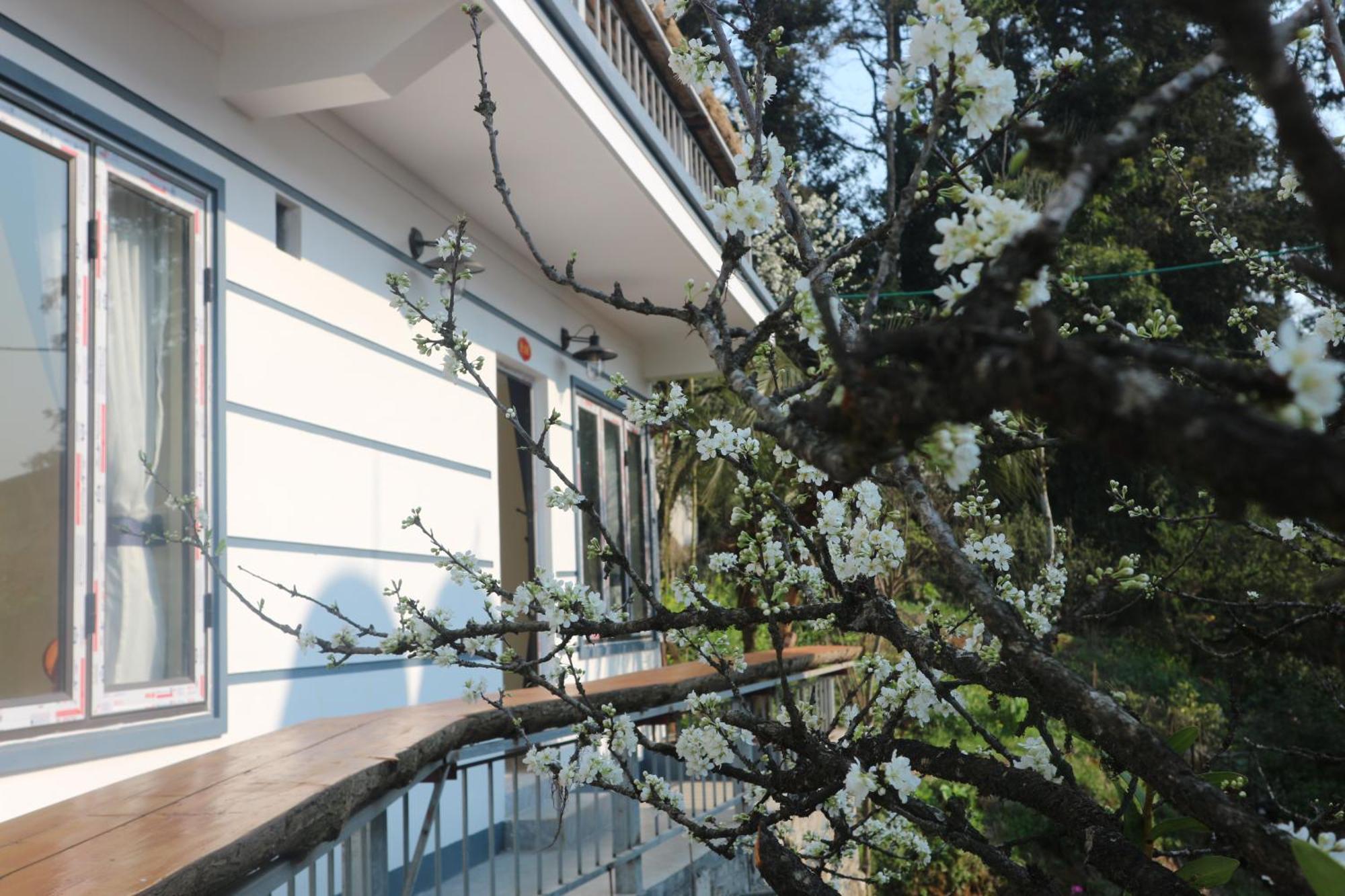 May Nui Homestay Sa Pa Exterior photo